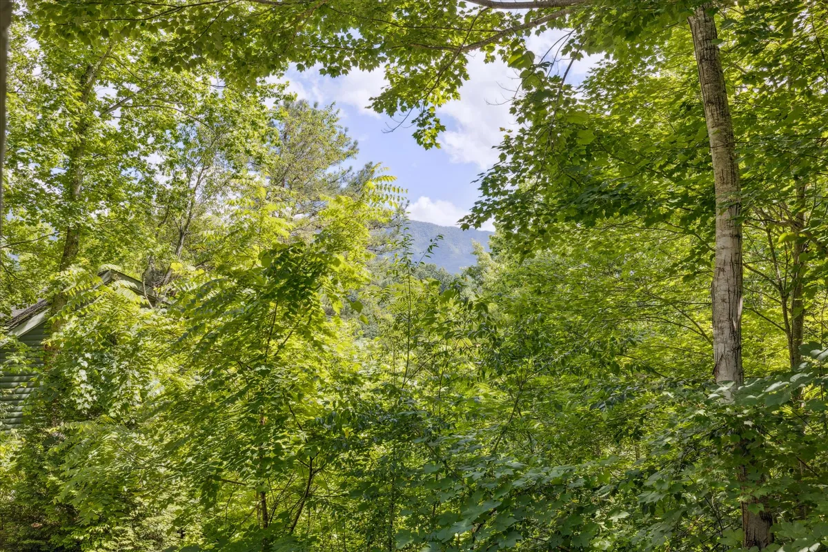 This image captures a sweeping view of the lush greenery and mountains under a clear blue sky, offering a tranquil scene that highlights the beauty of the Smoky Mountains surrounding Cozy Timbers.