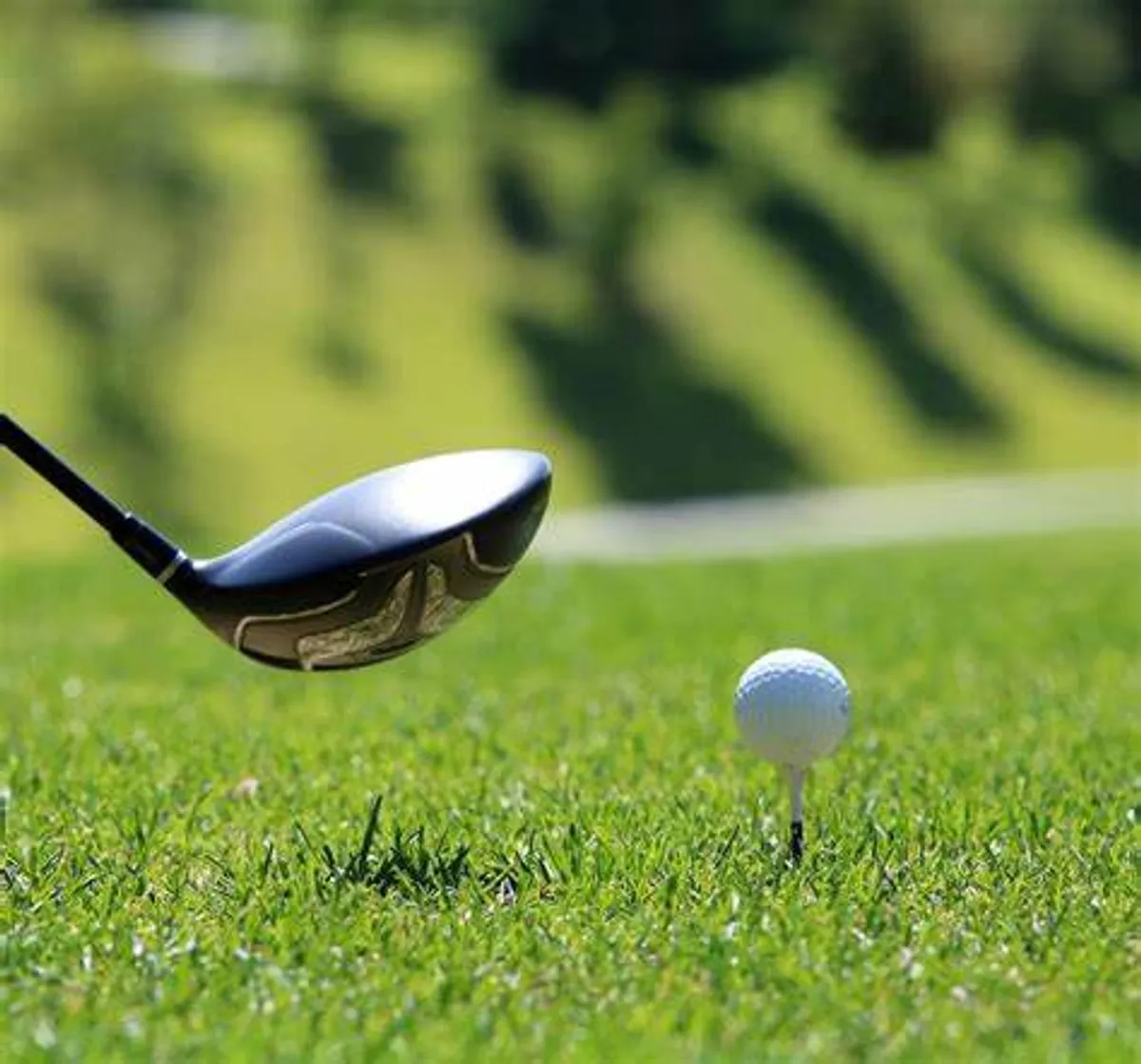 A close-up view of a golf ball on the green grass beside a golf club, capturing the thrill and camaraderie of enjoying a nearby golf course in a beautifully maintained natural setting.