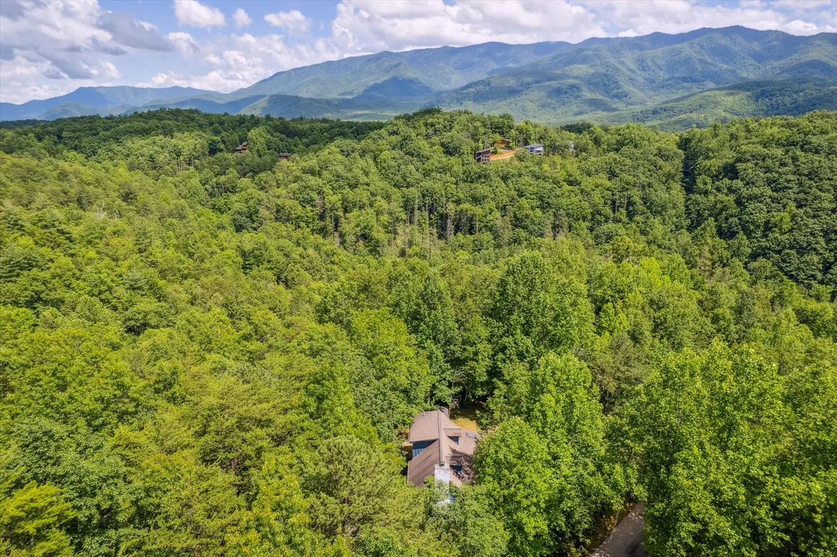An exterior shot of a secluded home set against a backdrop of dense greenery and rolling mountains. The tranquil setting hints at proximity to hiking trails and offers a sense of peaceful seclusion and adventure within the Smoky Mountains.